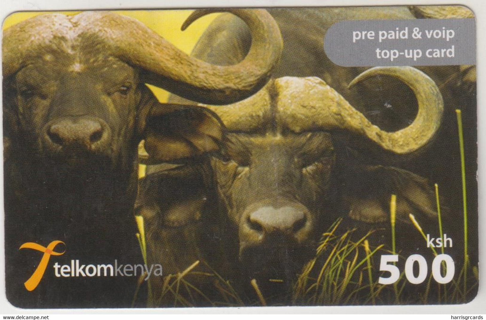 KENYA - 2 Buffaloes, Telkom Kenya, Expire Date 14/08/2011, 500 Kshs, Used Please Check Scan - Kenya