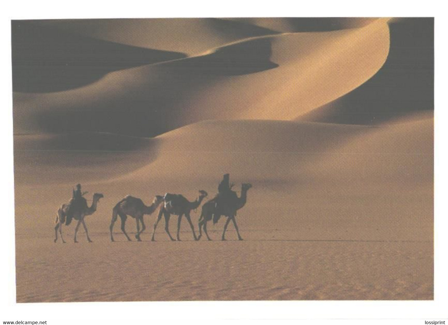 Niger:Desert View With Camels - Niger