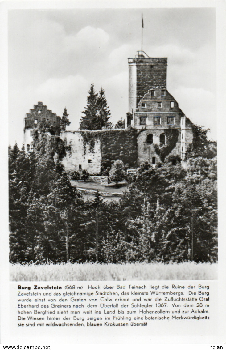 BURG ZAVELSTEIN - REAL PHOTO - F.P. - Bad Teinach