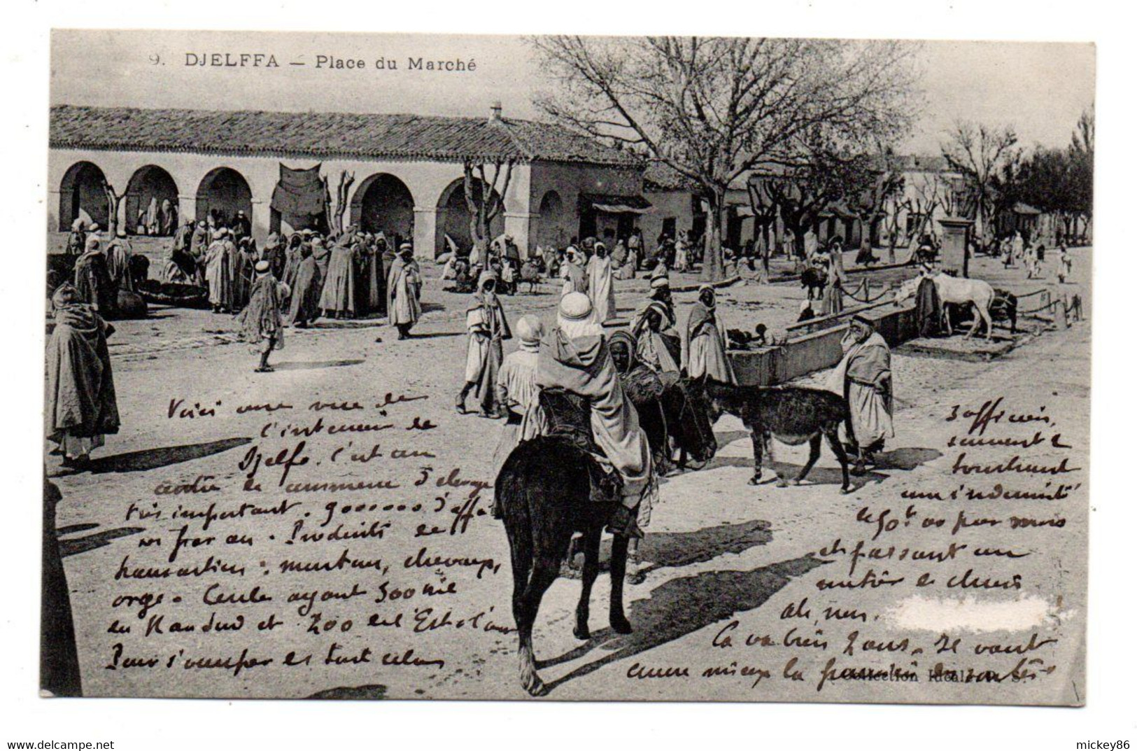 Algérie -- DJELFA -- Place Du Marché  ( Très Animée, ânes ) ..........à Saisir - Djelfa