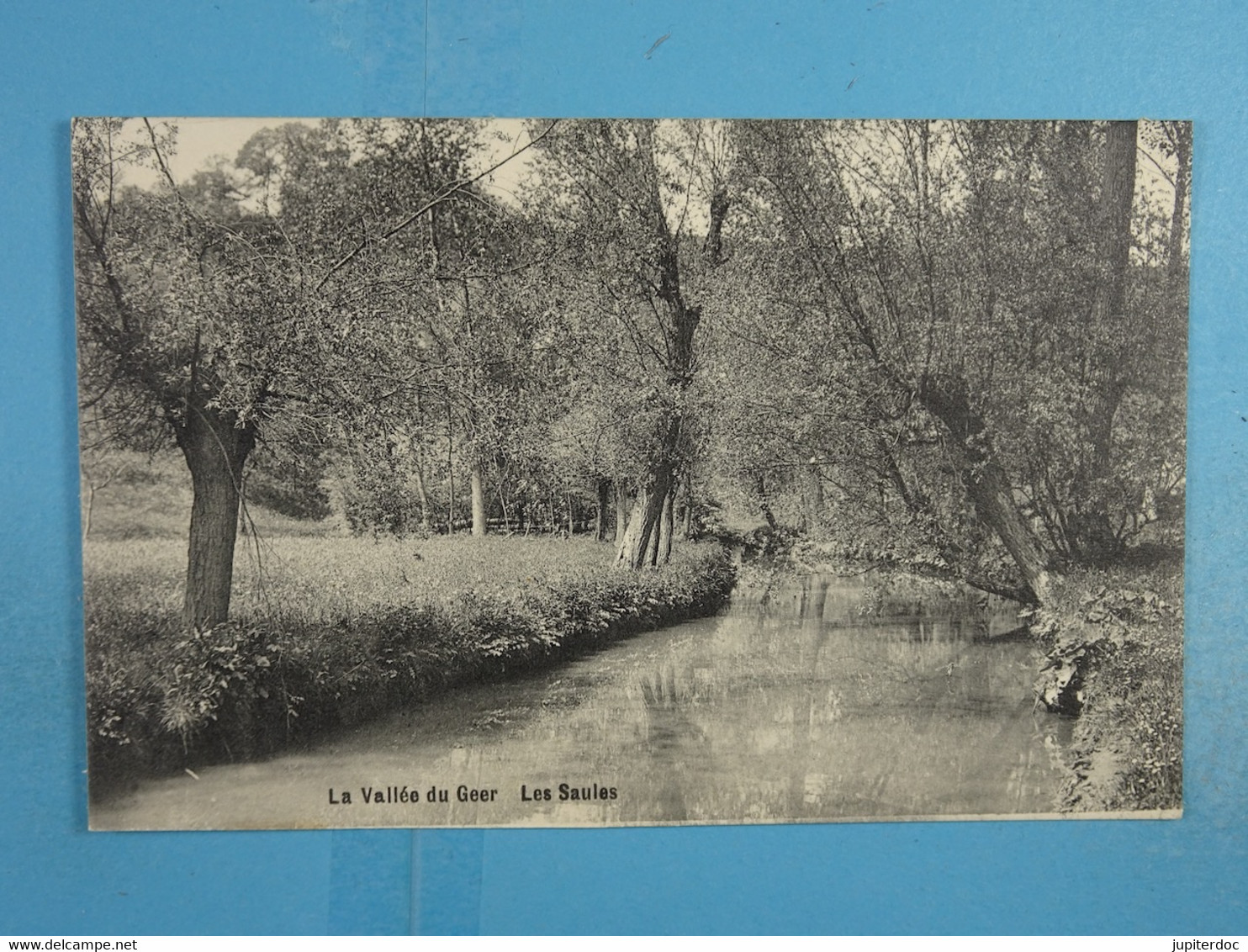 La Vallée Du Geer Les Saules - Bassenge