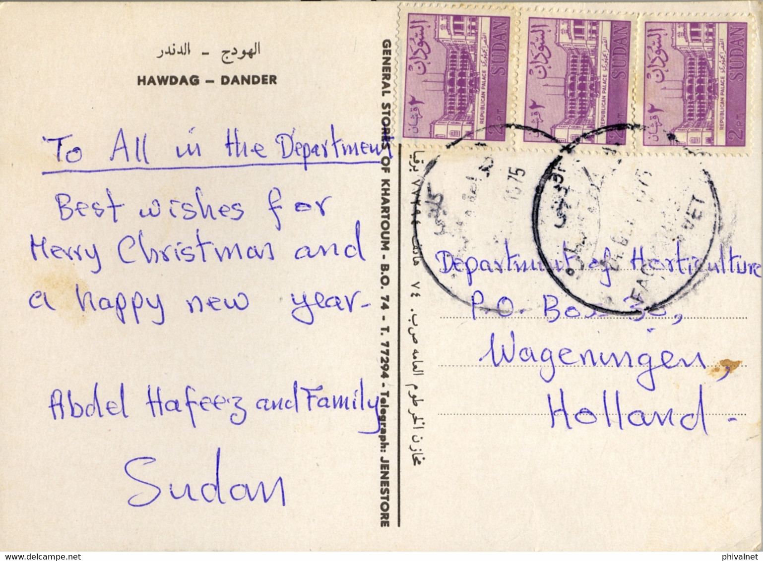 1975 SUDAN / SOUDAN - T.P. CIRCULADA A WAGENINGEN , HAWDAG - DANDER , CAMELLO , CAMEL - Soudan (1954-...)