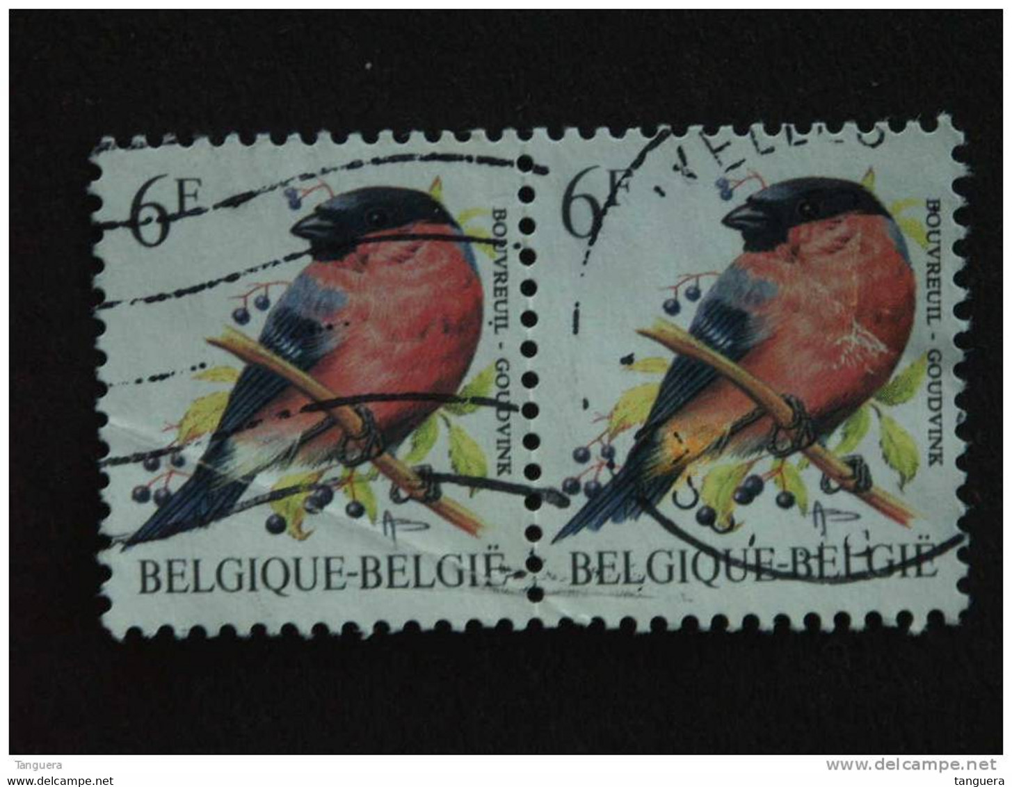 België Belgique Belgium 1988 Goudvink Bouvreuil Phosfer Fout  Erreur?? Vogels Oiseaux André Buzin 2 X Yv 2294 COB 2295 O - Unclassified