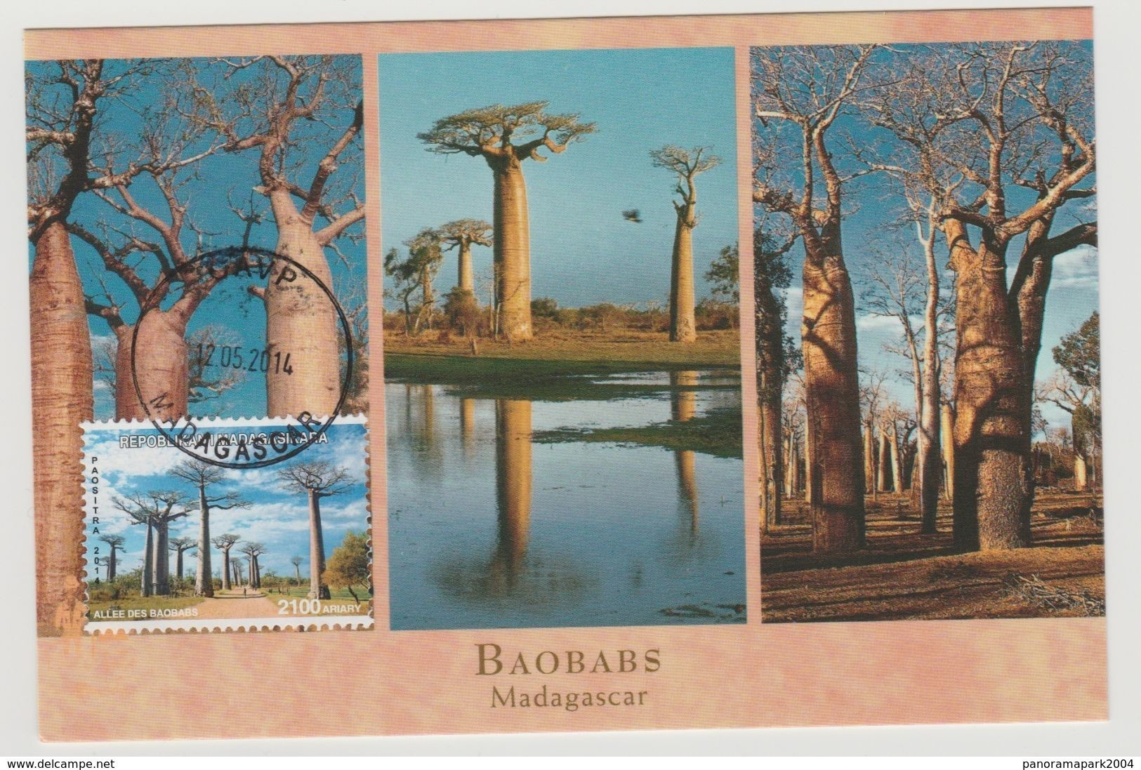 Madagascar Madagaskar 2014 Mi. 2666 Carte Maximum Baobabs Trees Arbres Bäume Flora Joint Issue China Emission Commune - Madagaskar (1960-...)