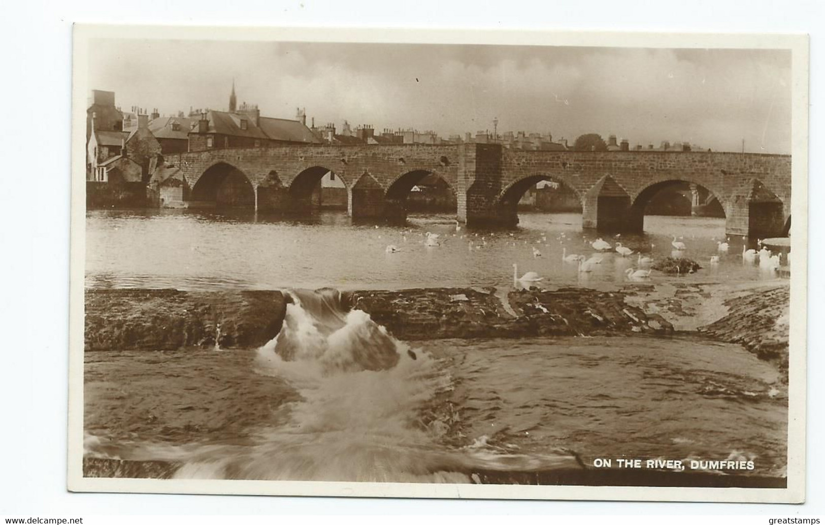 Postcard On The River Dumfries Unused Unused Rp Swans O River - Dumfriesshire