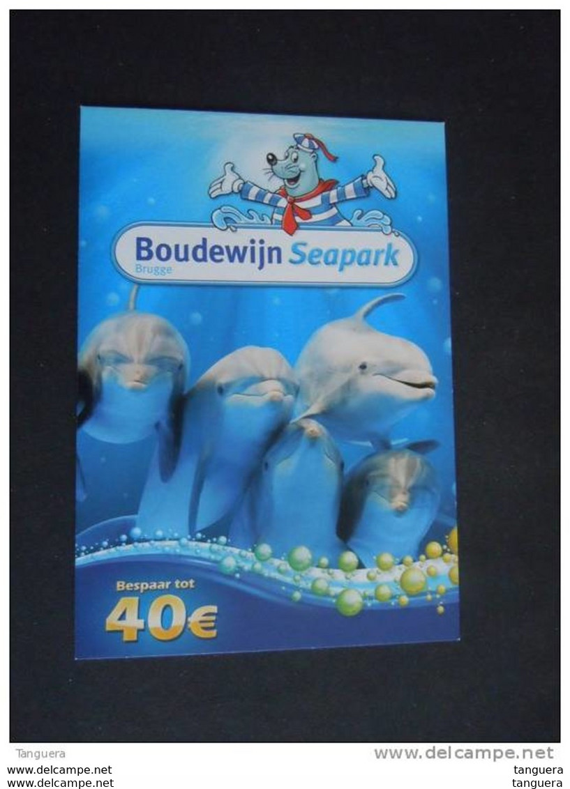 Carte Kaart Boomerang Belgique België Dolfijnen Dauphins Pub - Dauphins