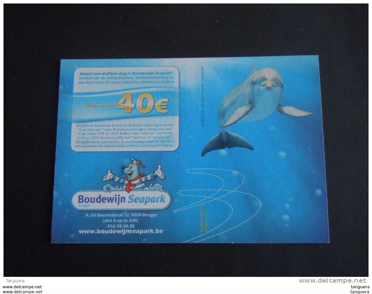 Carte Kaart Boomerang Belgique België Dolfijnen Dauphins Pub - Dauphins