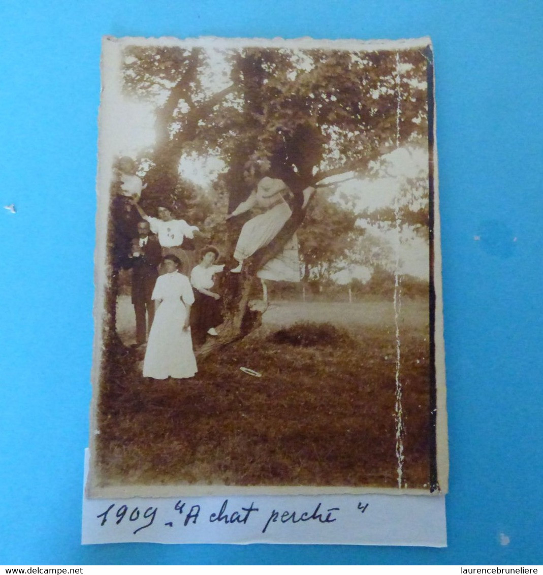 44 LA BAULE - DANS LE JARDIN   "A  CHAT PERCHE" - 1909 - FAMILLE LAUNAY - Plaatsen