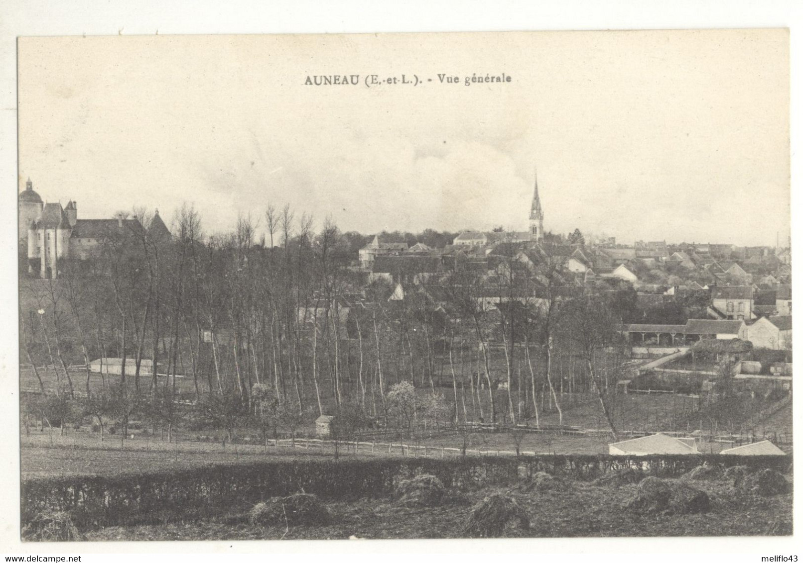 28/CPA - Auneau - Vue Générale - Auneau