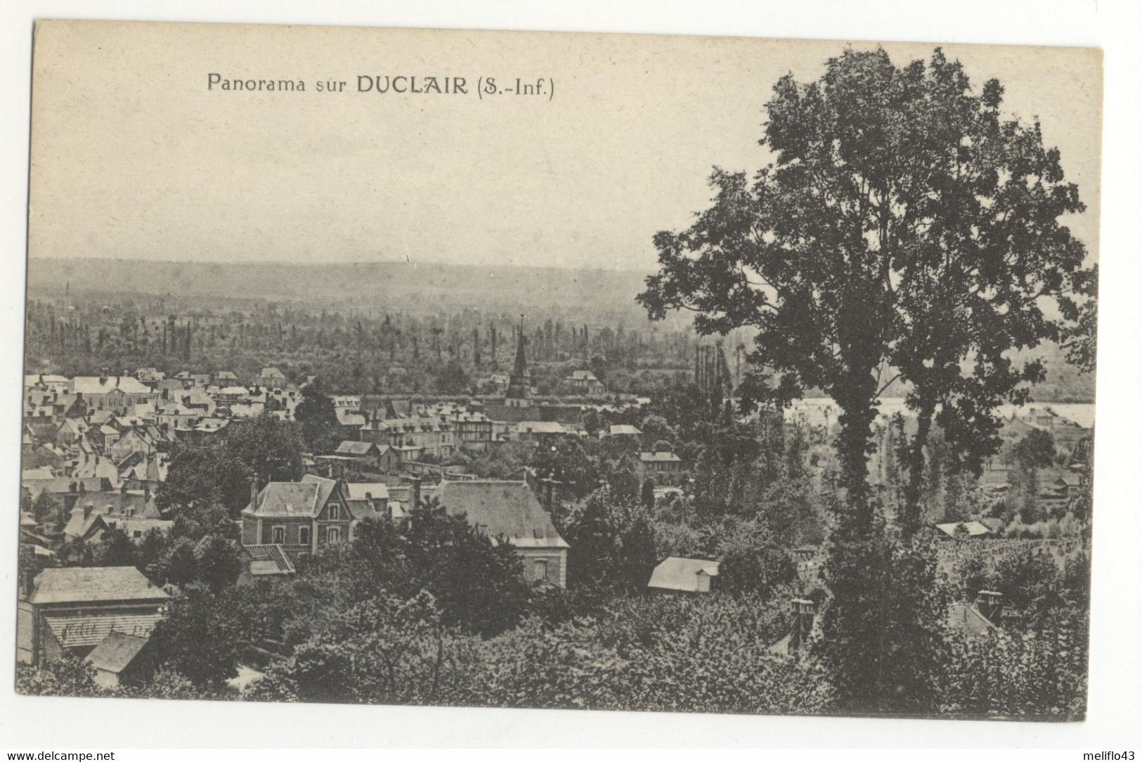 76/CPA - Panorama De Duclair - Duclair