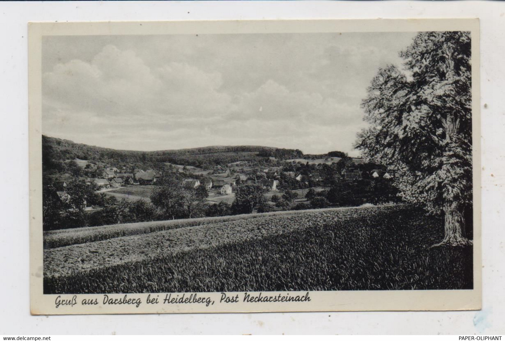 6918 NECKARSTEINACH - DARSBERG, Gesamtansicht 1937 - Heppenheim