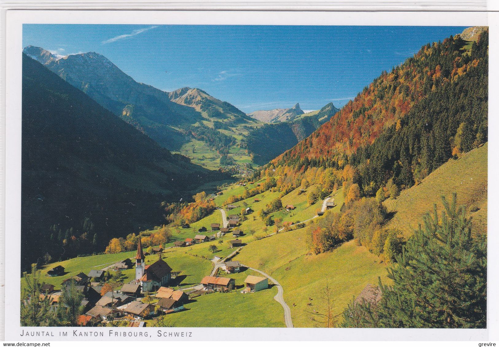 Jaun / Bellegarde, En Direction De La Villette. Carte-photo 10 X 15 - Bellegarde