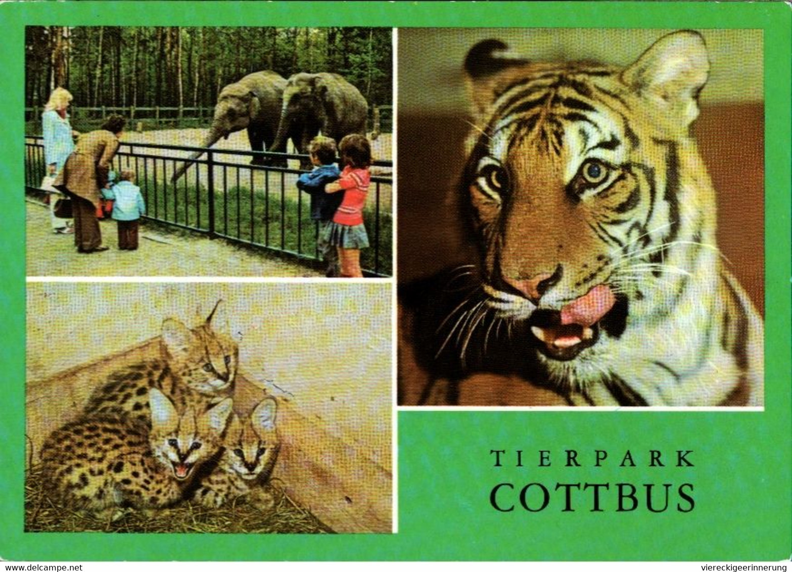 ! DDR Ansichtskarte Tierpark Cottbus, Elefanten, Elephants, Tiger, Zoo - Tiger