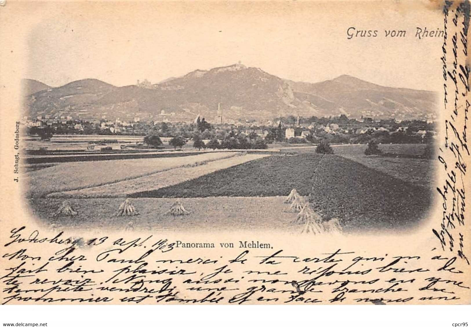 Allemagne - N°61108 - Gruss Vom Rhein - Panorama Von MEHLEM - Bonn