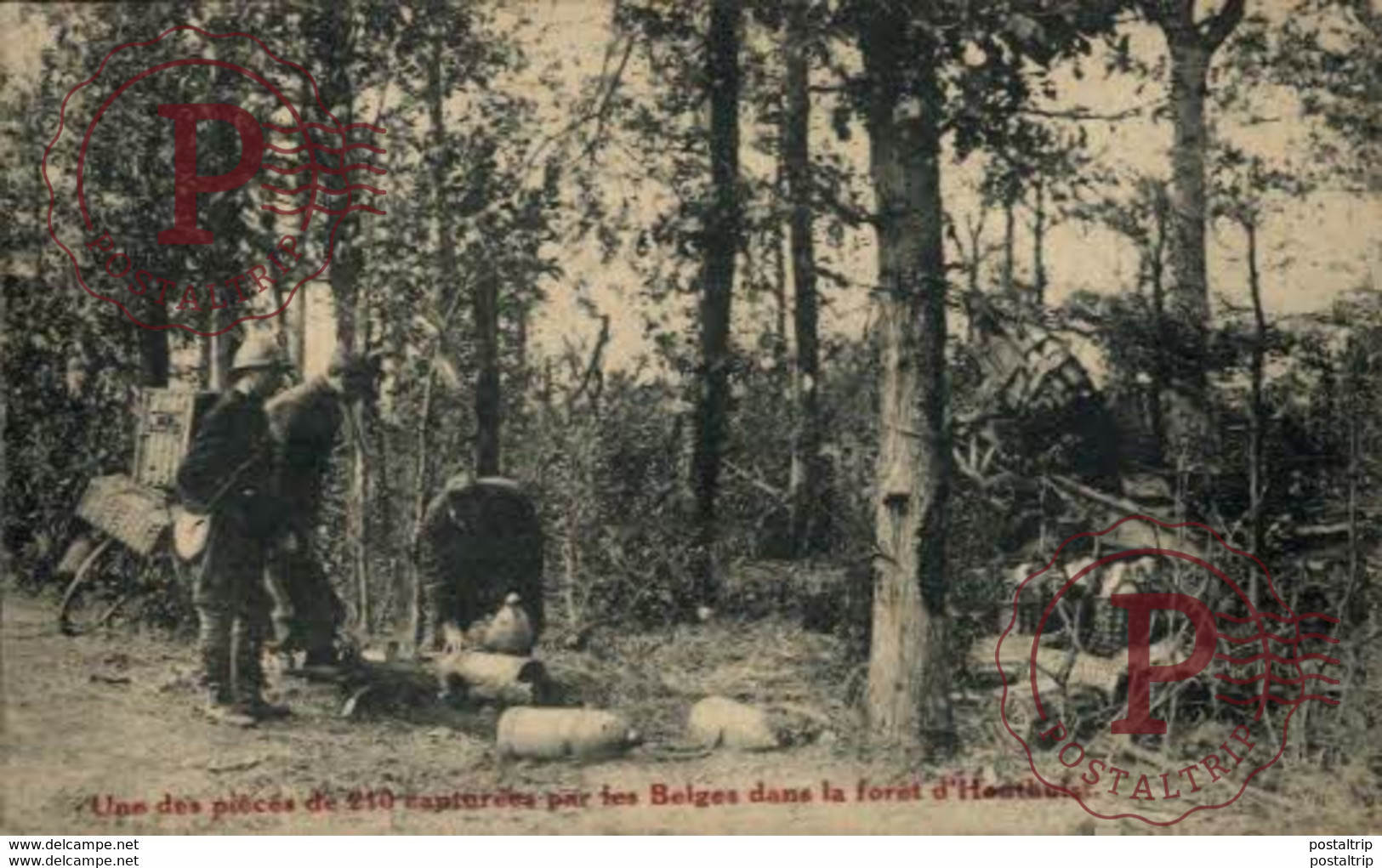 Une Des Pièces De 210 Capturées Par Le Belges Dans La Forêt D'Houthulst GERMAN  WWI WWICOLLECTION - Houthulst