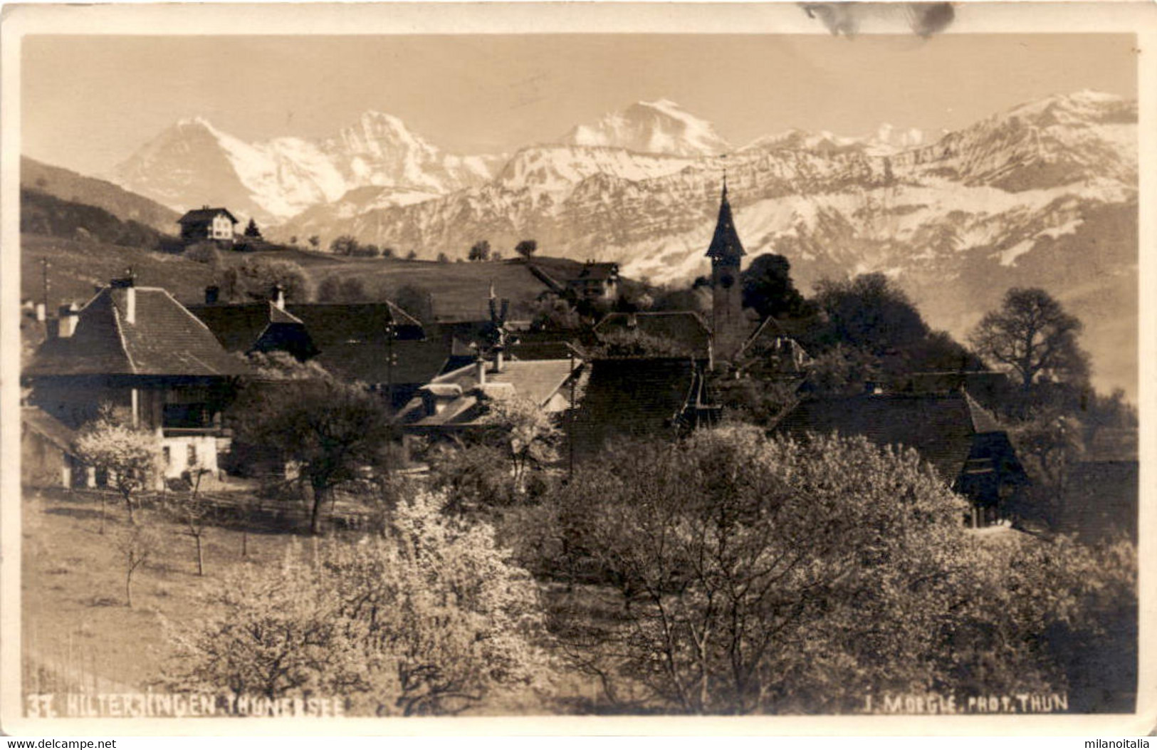 Hilterfingen, Thunersee (37) * 18. 9. 1943 - Hilterfingen