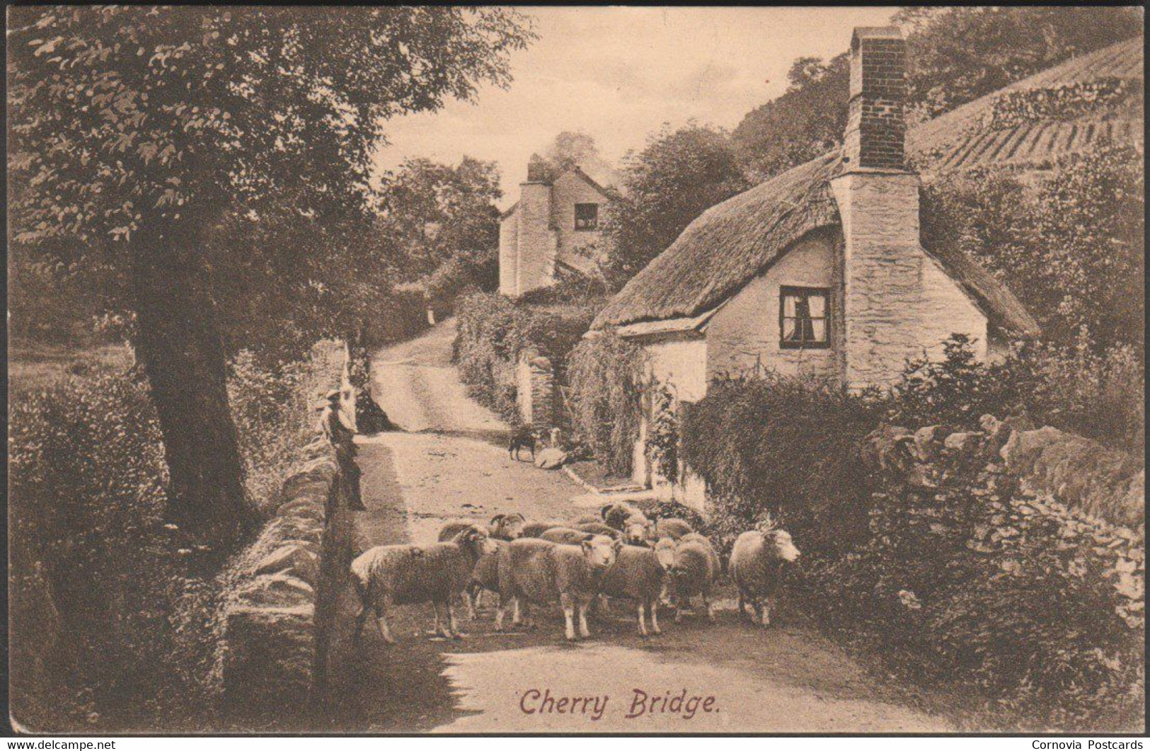 Cherry Bridge, Lynmouth, Devon, 1911 - Frith's Postcard - Lynmouth & Lynton