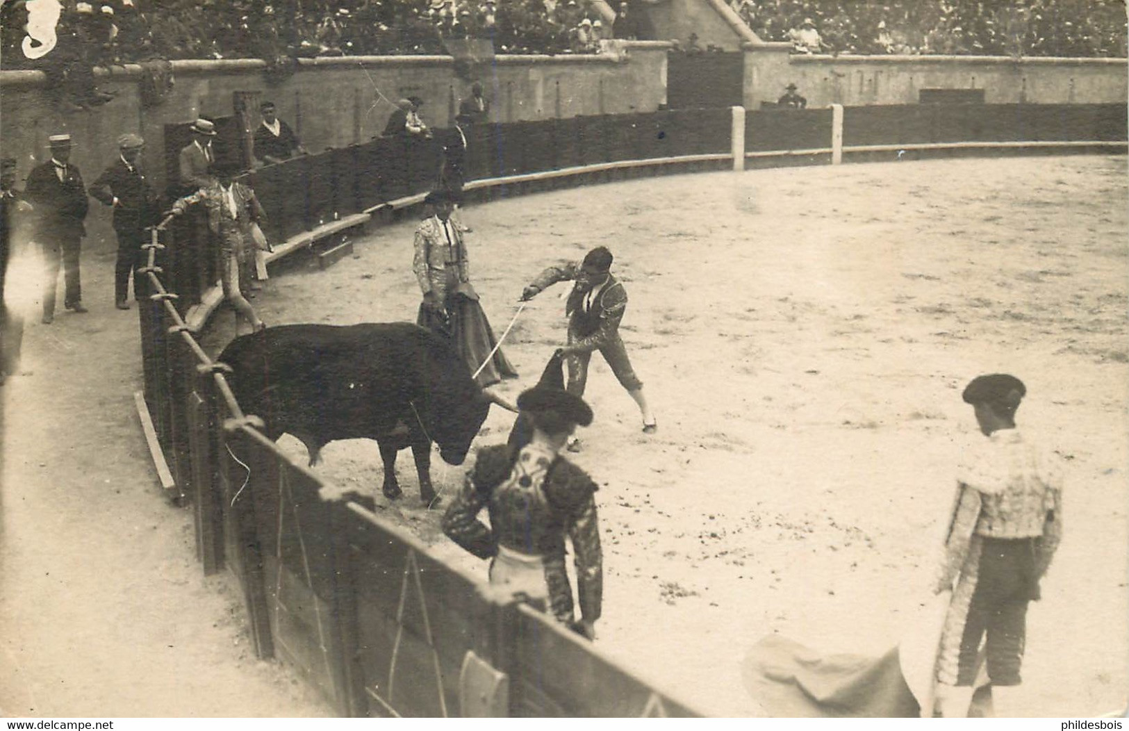 CORRIDA TAUROMACHIE ( Carte Photo) La Mise A Mort - Corridas