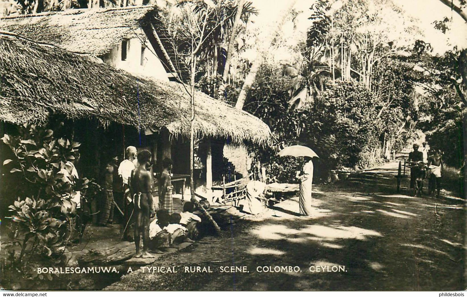 ASIE SRI LANKA CEYLON  A Typical Rural Scene Boralesgamuwa - Sri Lanka (Ceylon)