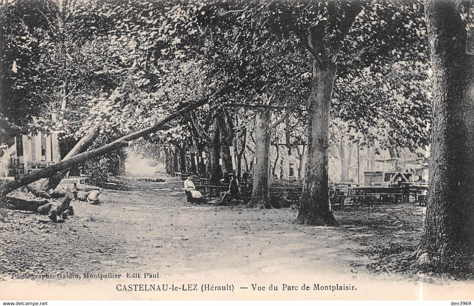 CASTELNAU-le-LEZ (Hérault) - Vue Du Parc De Montplaisir - Castelnau Le Lez