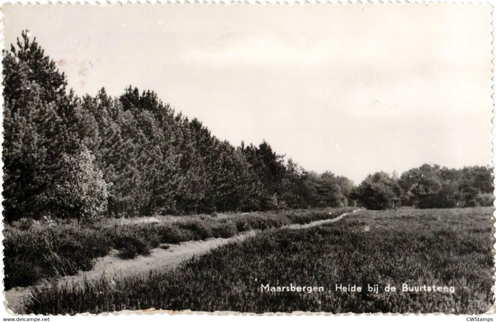 Maarsbergen Heide Bij De Buurtsteeg - Maarsbergen