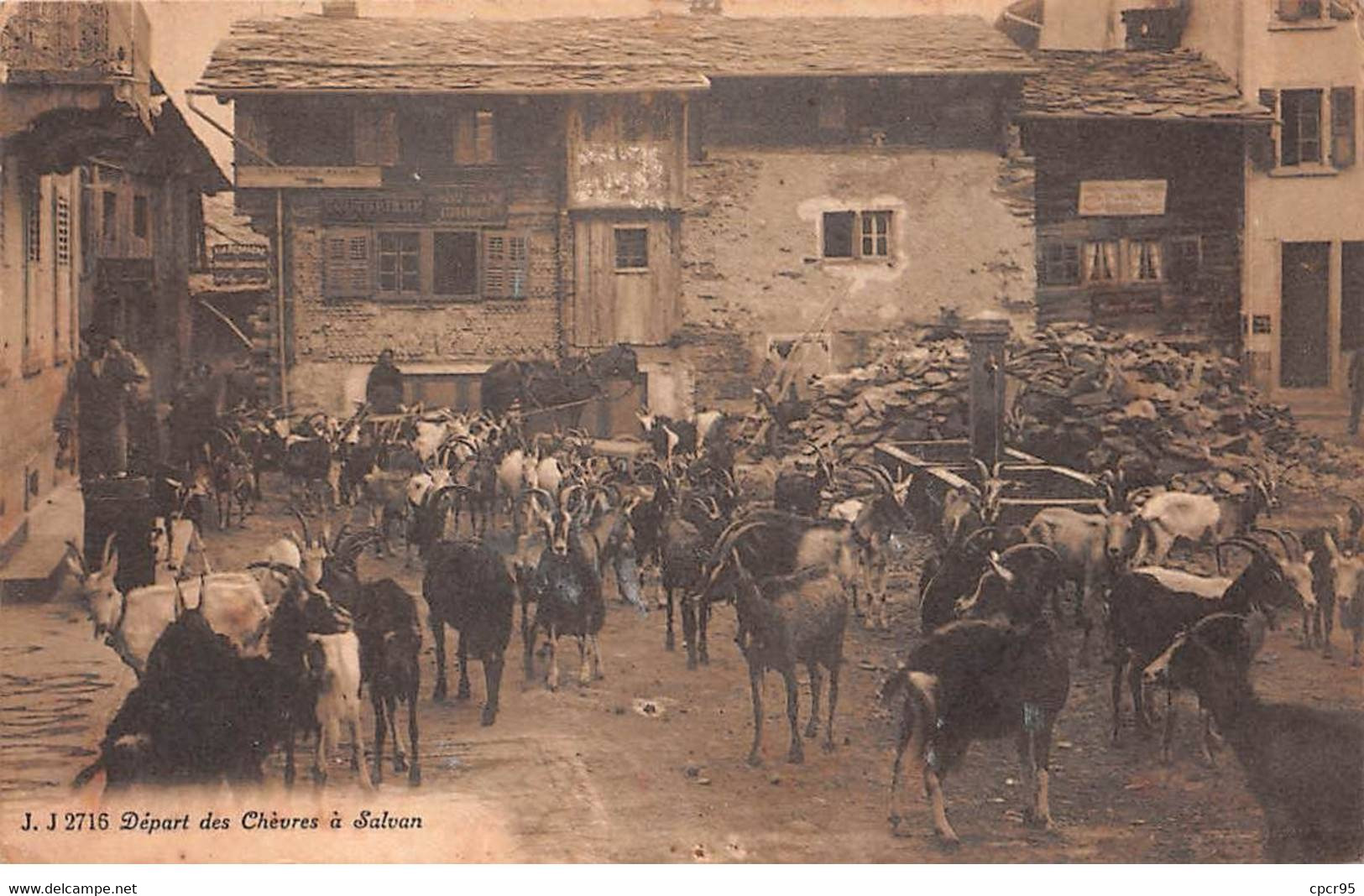 Suisse - N°78462 - Valais - Départ Des Chèvres à Salvan - Agriculture - Salvan