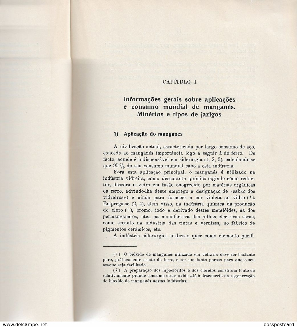 Anadia -  Aveiro  -Jazigos De Manganés - Minas - Mines - Portugal - Otros Planes