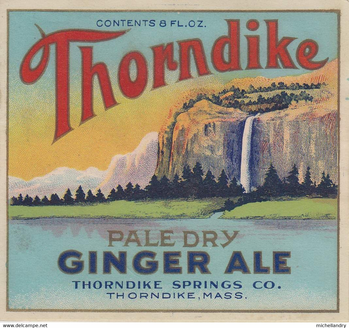 Etiquette Thorndike Ginger Ale , Mass (115570) Quantité De 12 - Alcools