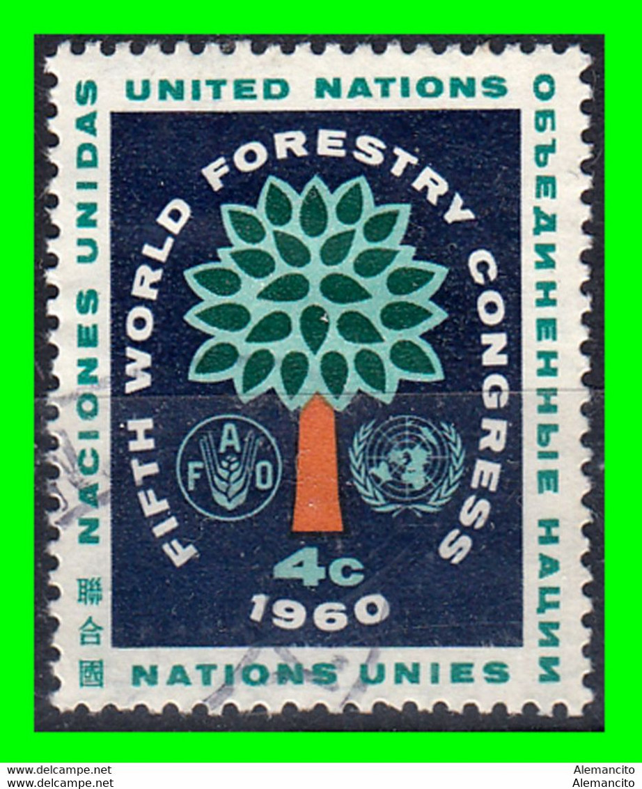 ESTADOS UNIDOS  AMERICA DEL NORTE  ( NACIONES UNIDAS EMISIONES UNIDAS DE NUEVA YORK / Y GINEBRA ) SELLOS AÑO 1960 - Gebruikt