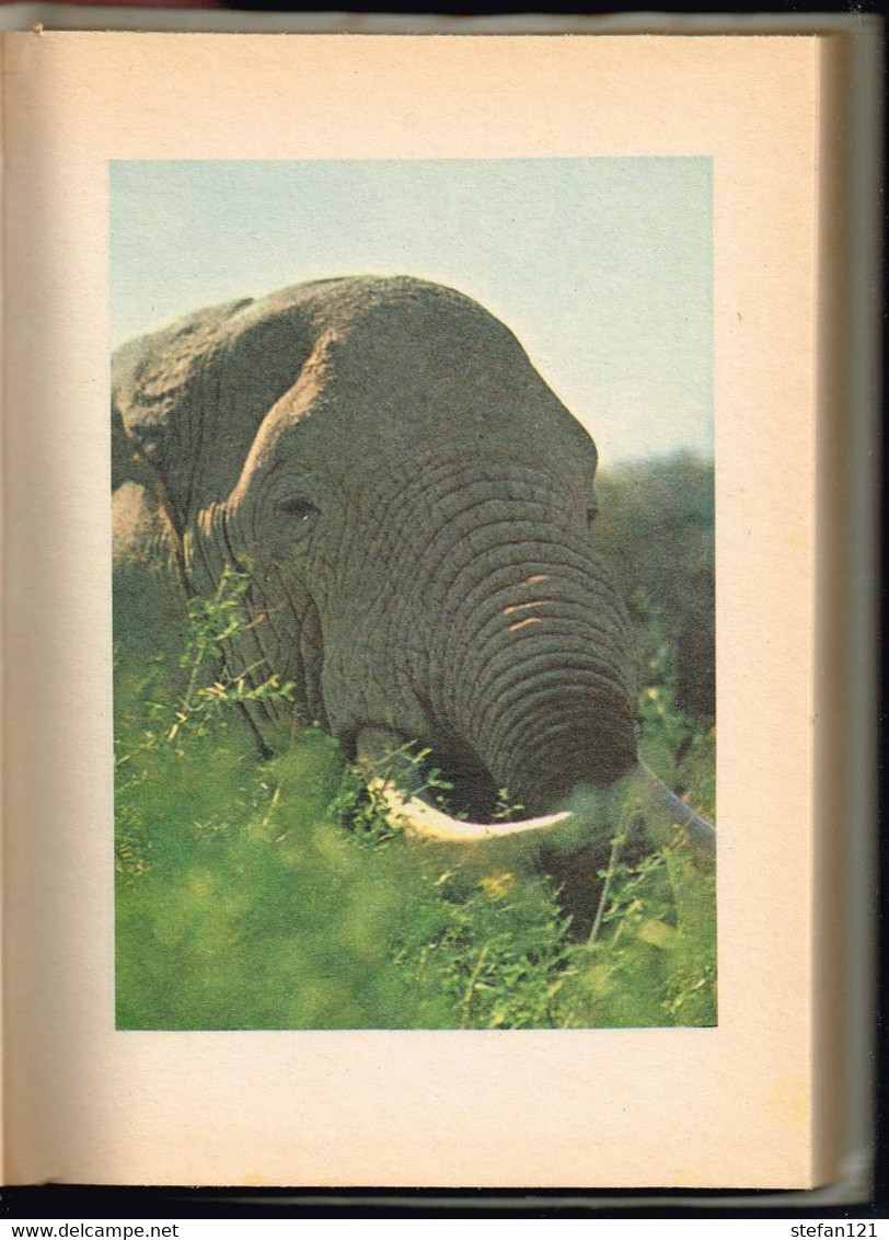 Le Grand Safari - Christian Zuber - 1973 - 188 Pages 20,5 X 14,5 Cm - Collection Spirale