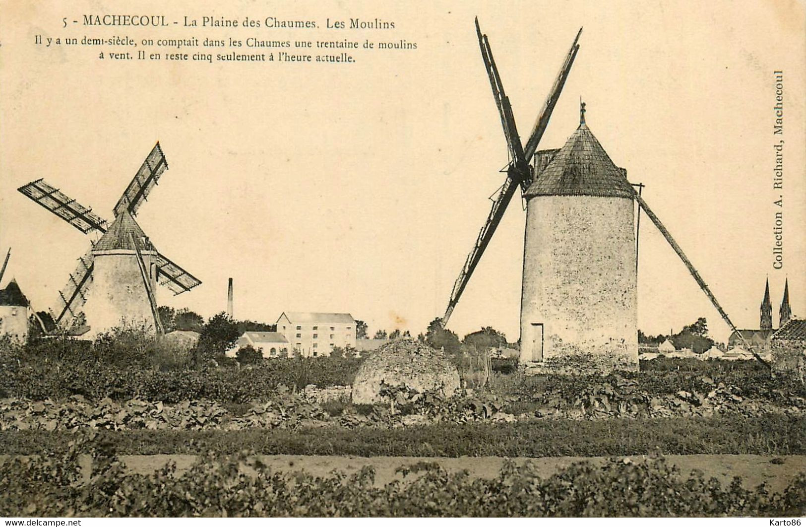 Machecoul * 1906 * La Plaine Des Chaumes , Les Moulin * Thème Molen Moulin à Vent - Machecoul