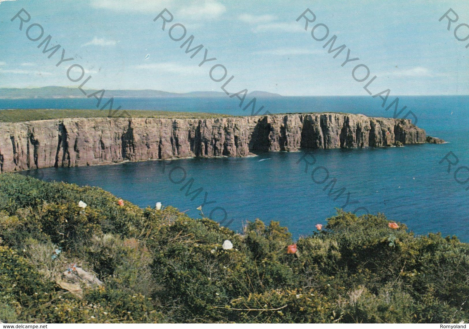 CARTOLINA  CARLOFORTE,CARBONIA-IGLESIAS,SARDEGNA,GROTTE DELLA MEZZALUNA,VACANZA,SPIAGGIA,BARCHE A VELA,VIAGGIATA - Carbonia