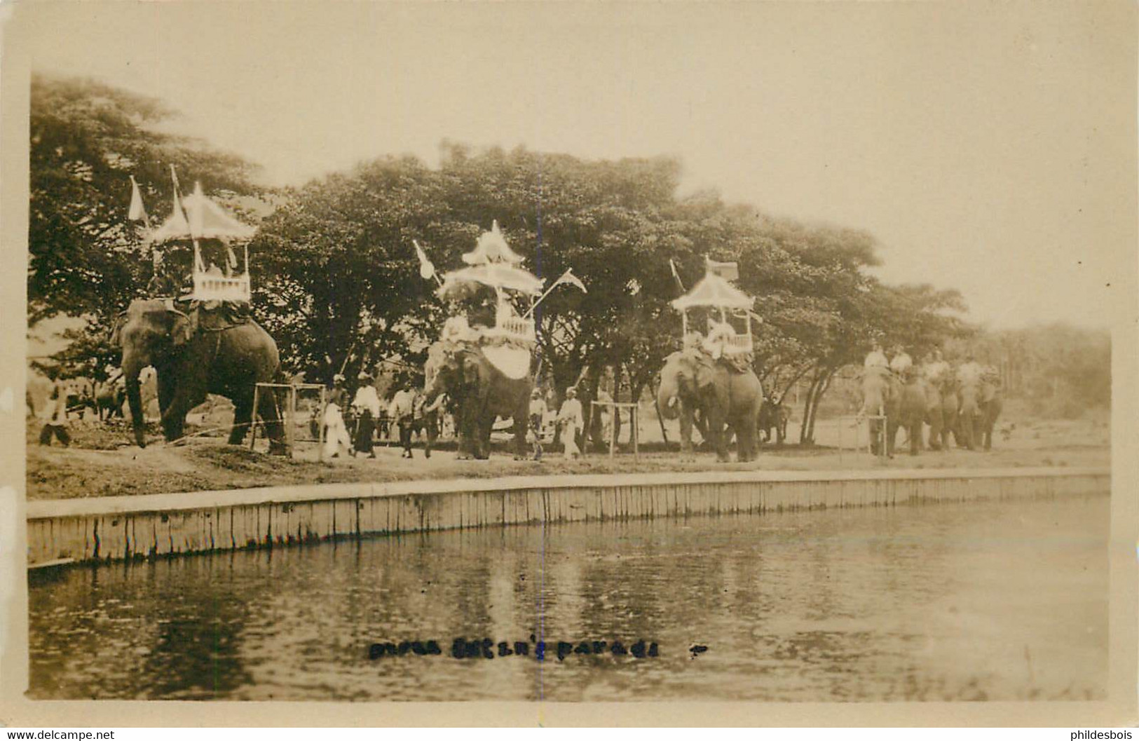 SRI LANKA CEYLON Carte Photo "éléphants " - Sri Lanka (Ceylon)