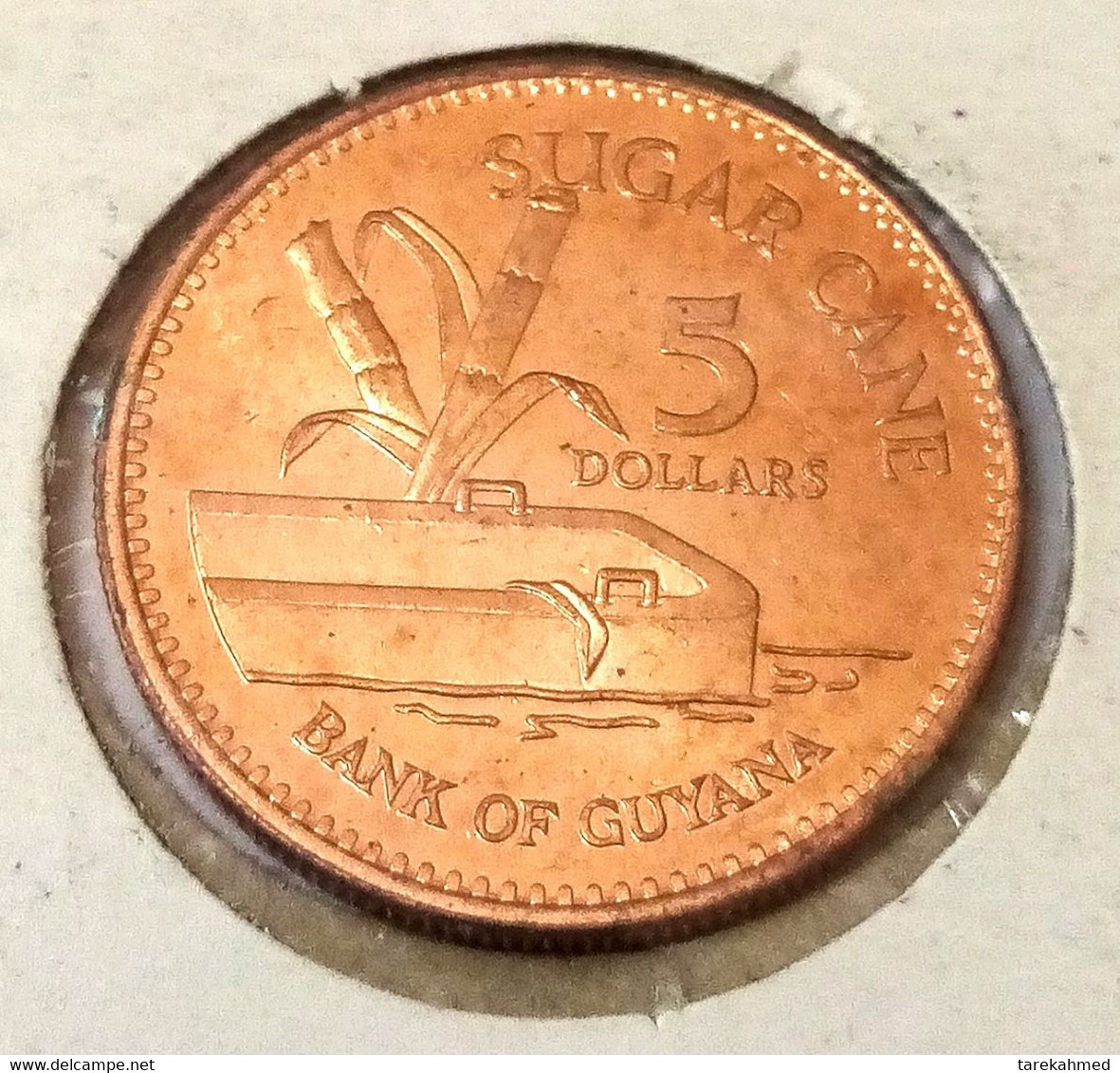 Guyana, 5 Dollars, 1996 , UNC , Sugarcane , Agouz - Guyana