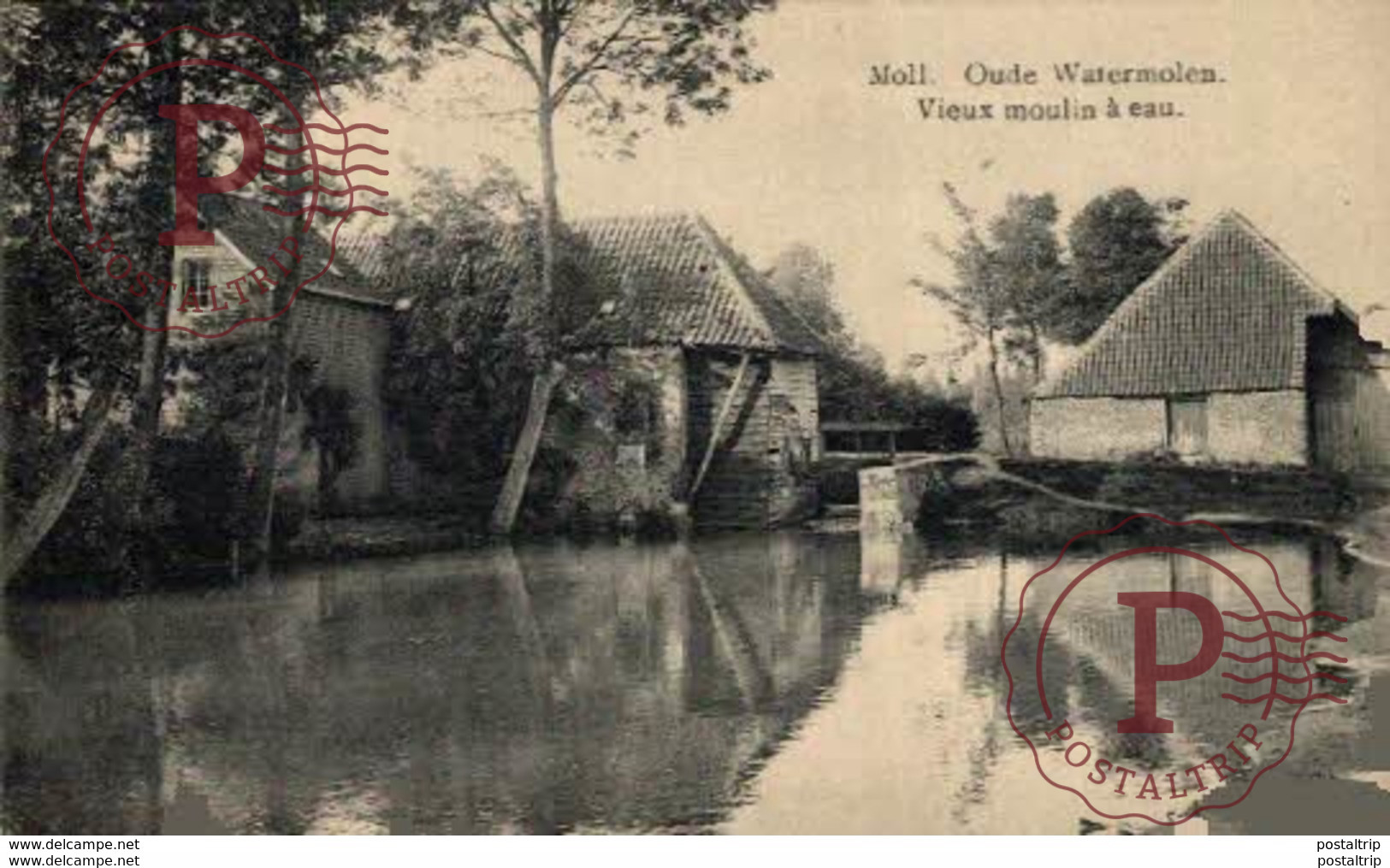 Mol / Moll  Moll - De Oude Watermolen  Le Vieux Moulin à Eau    ANTWERPEN ANVERS - Mol