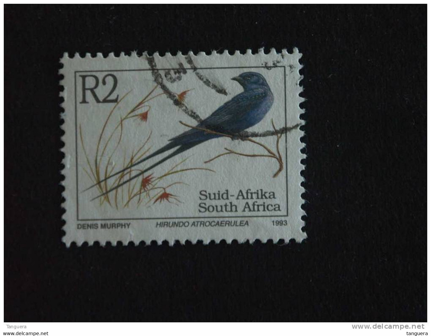 Zuid Afrika South Africa Afrique Du Sud RSA 1993 Oiseaux Birds Hirundo Atrocaerulea Yv 822 Sc 865 O - Hirondelles