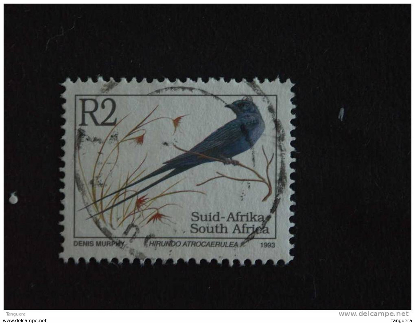 Zuid Afrika South Africa Afrique Du Sud RSA 1993 Oiseaux Birds Hirundo Atrocaerulea Yv 822 Sc 865 O - Swallows