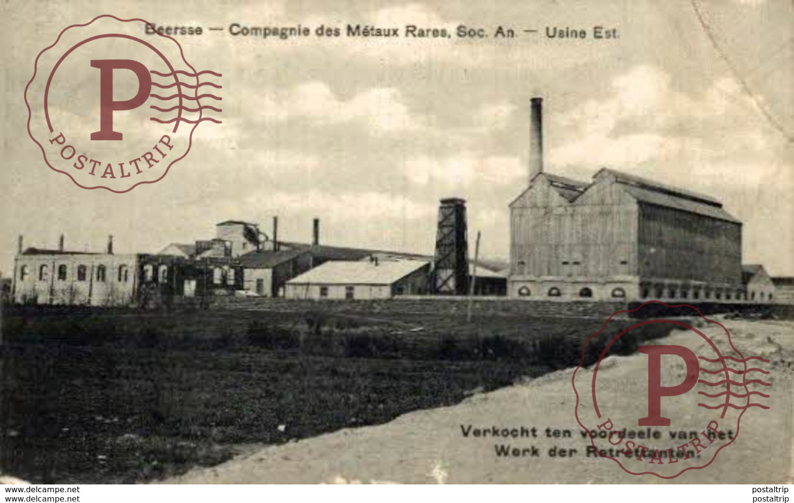 BEERSSE BEERSE   COMPAGNIE DES METAUX RARES SOC AN USINE EST ANTWERPEN ANVERS BELGIË BELGIQUE - Beerse