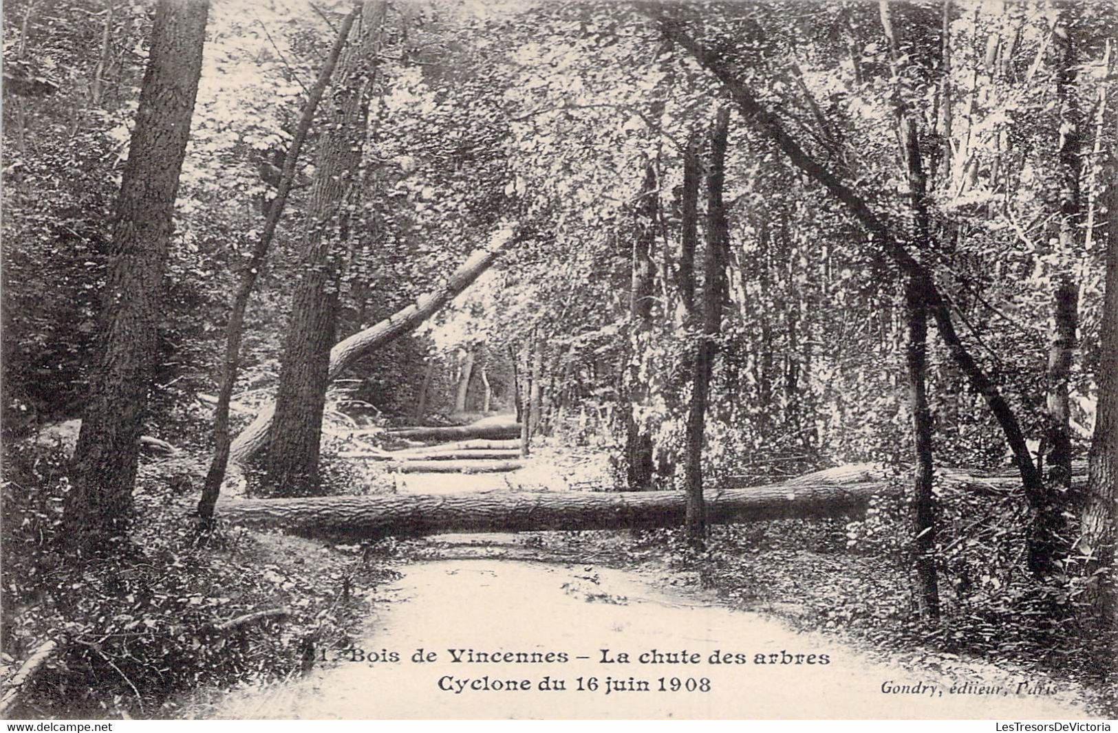 CPA - Cyclone Du 16 Juin 1908 - Bois De Vincennes - La Chute Des Arbres - Catástrofes