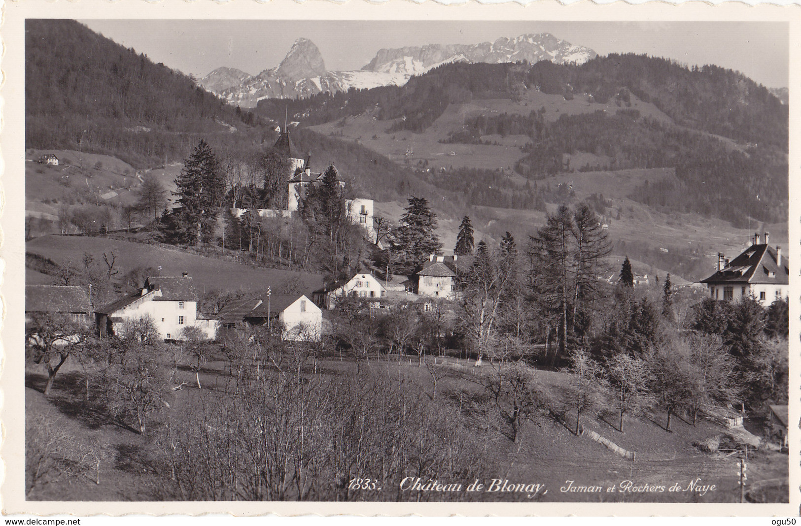 Blonay (Suisse) - Château - Jaman Et Rochers De Naye - Roche