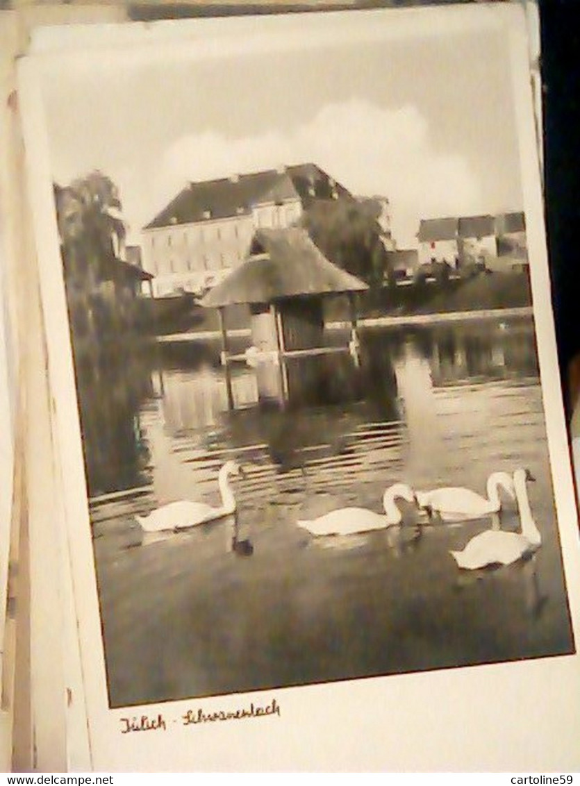 GERMANY Jülich Schwanenteich VB1953  IR9977 - Juelich