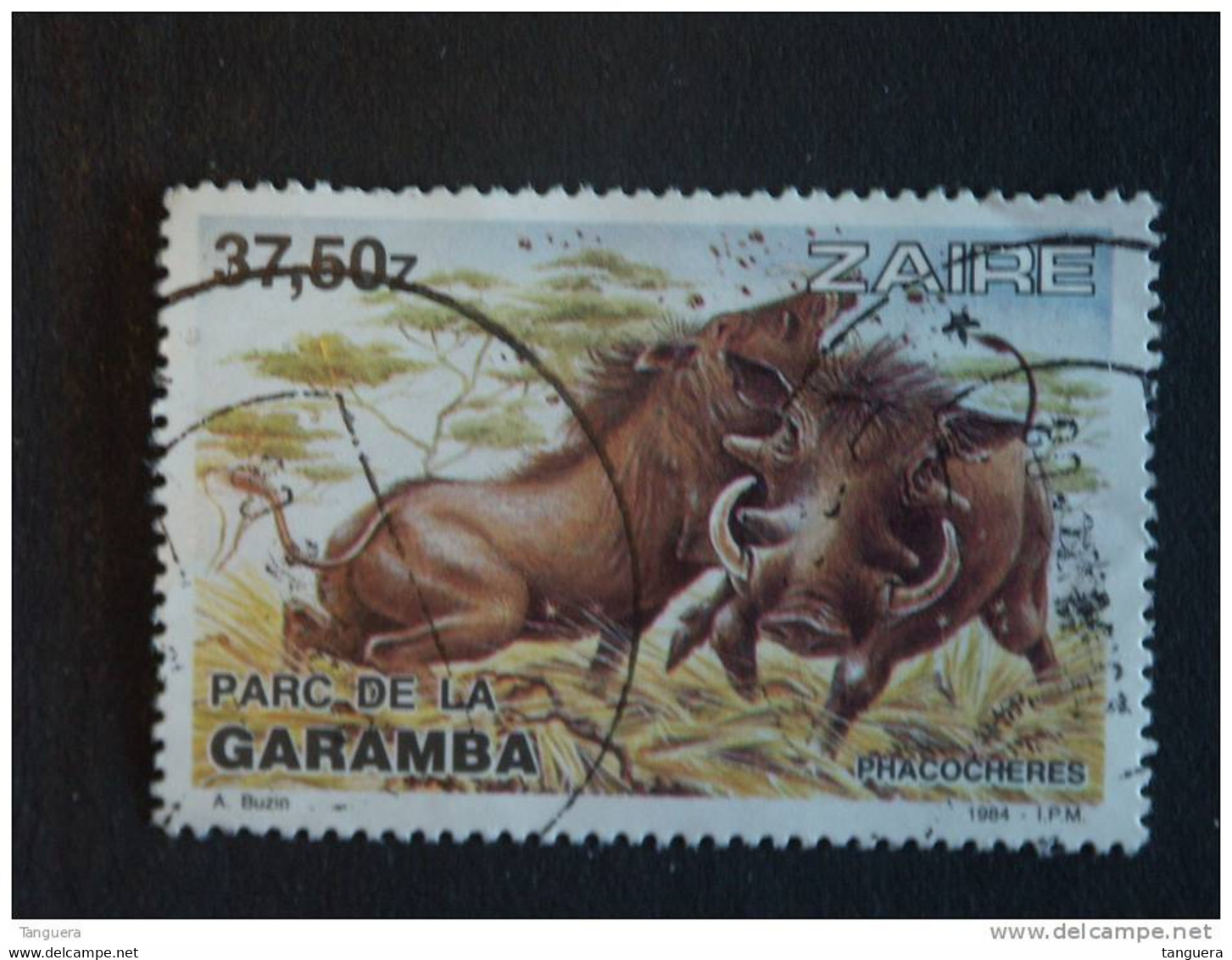 Congo Zaire 1984 Parc Garamba Phacochères Everzwijn COB 1221 Yv 1151 O - Oblitérés