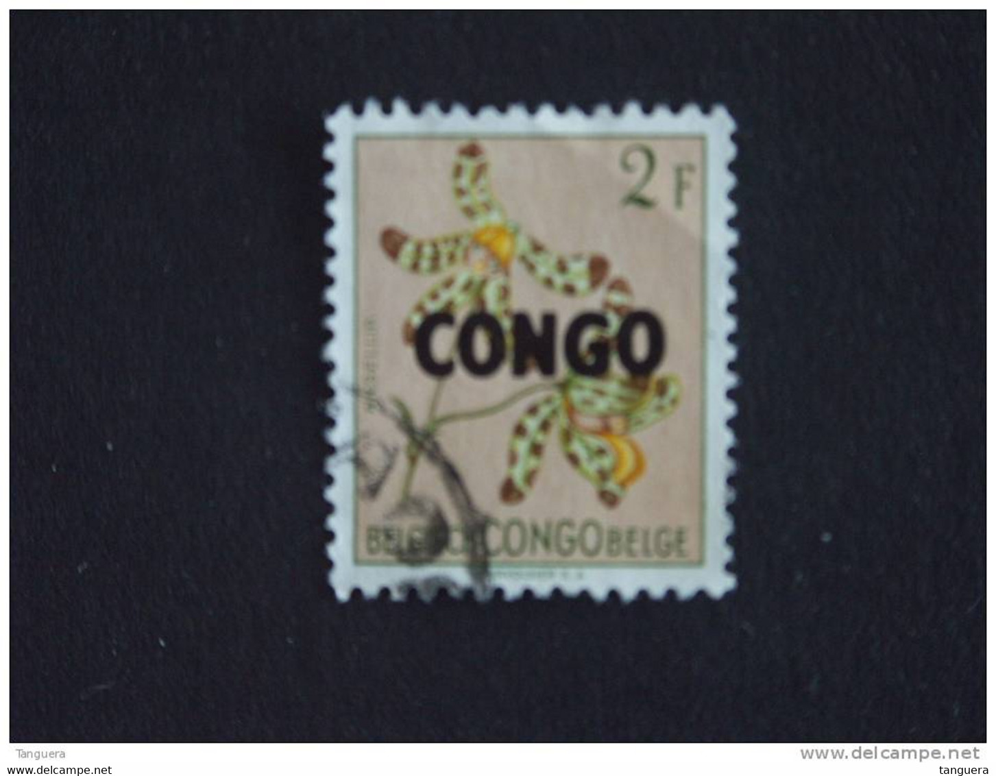 Congo Republique Republiek 1960 Bloemen Fleurs Yv COB 390 O - Usati