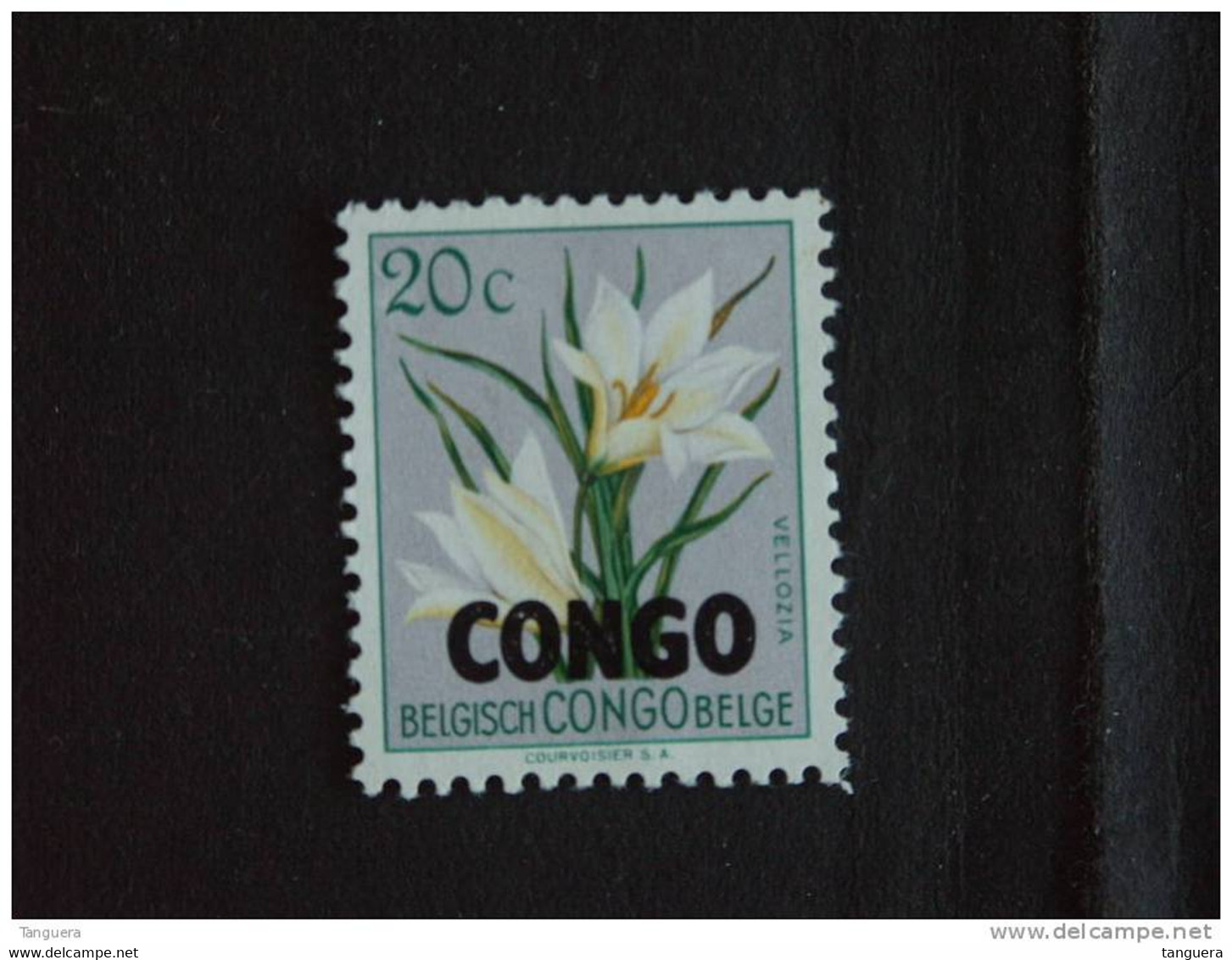 Congo Republique 1960 Bloemen Fleurs Yv 384 MH * - Nuovi