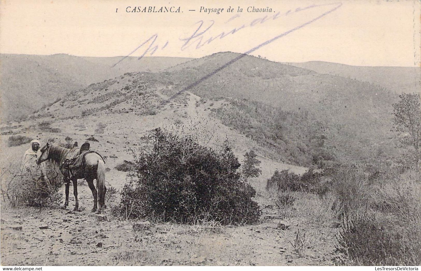 CPA - MAROC - CASABLANCA - Paysage De La Chaouïa - Cheval - Montagne - Casablanca