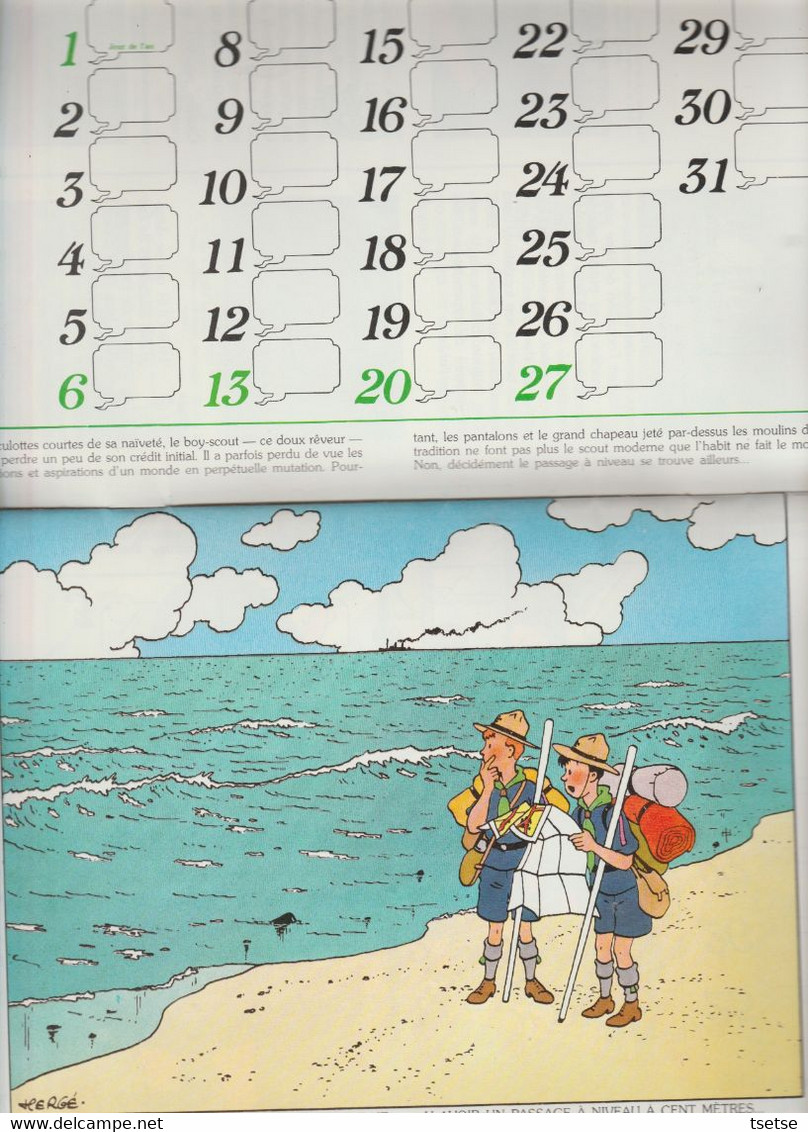 Tintin - Calendrier Scout FSC, Année 1980, Reprenant 12 Illustrations De Hergé / Casteman-Tournai 1979 - Hergé