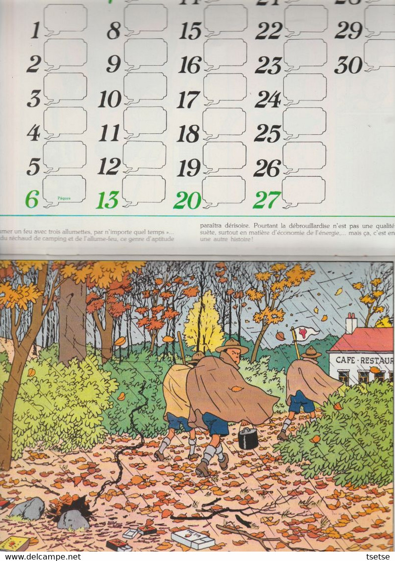 Tintin - Calendrier Scout FSC, Année 1980, Reprenant 12 Illustrations De Hergé / Casteman-Tournai 1979 - Hergé