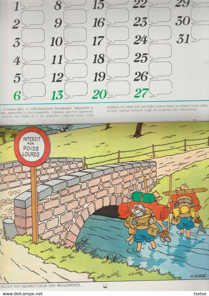 Tintin - Calendrier scout FSC, année 1980, reprenant 12 illustrations de Hergé / Casteman-Tournai 1979