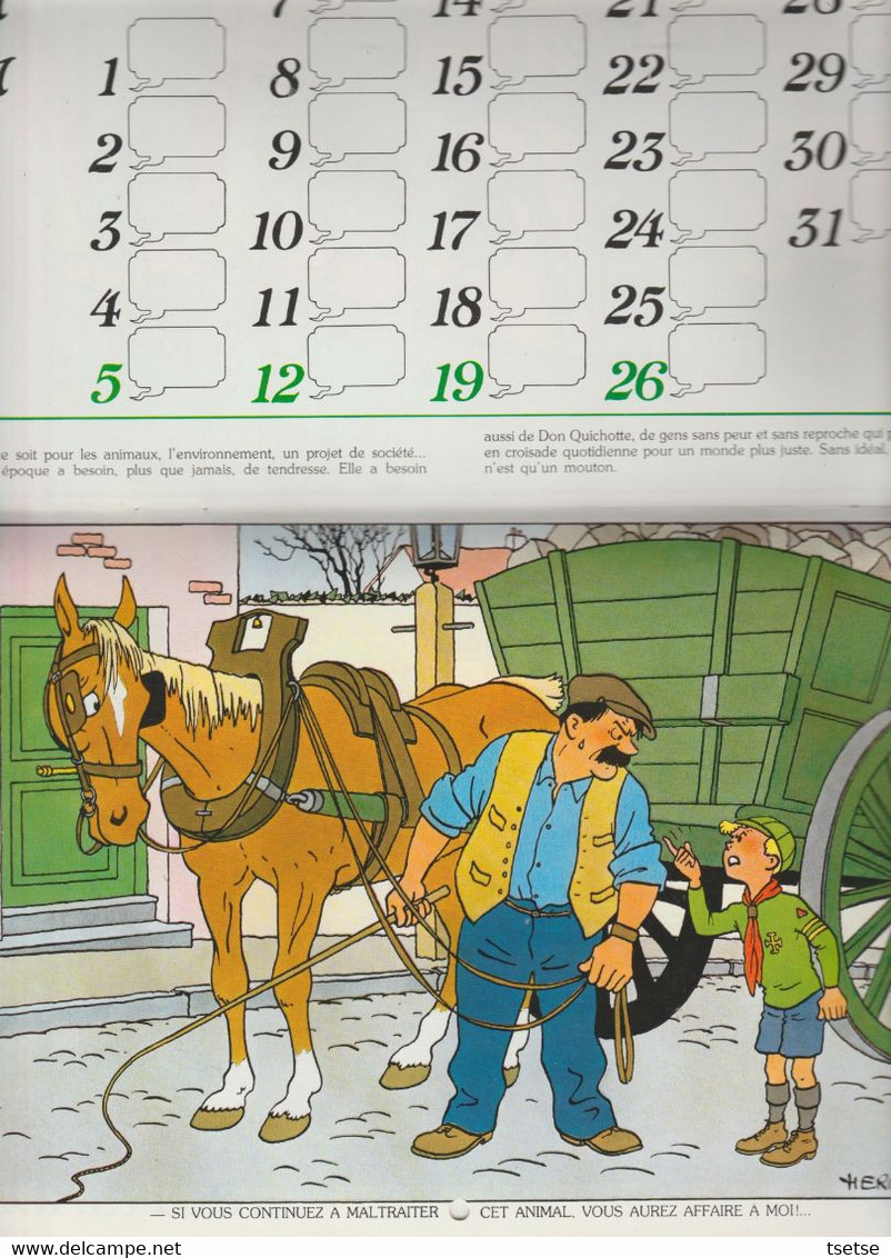 Tintin - Calendrier scout FSC, année 1980, reprenant 12 illustrations de Hergé / Casteman-Tournai 1979