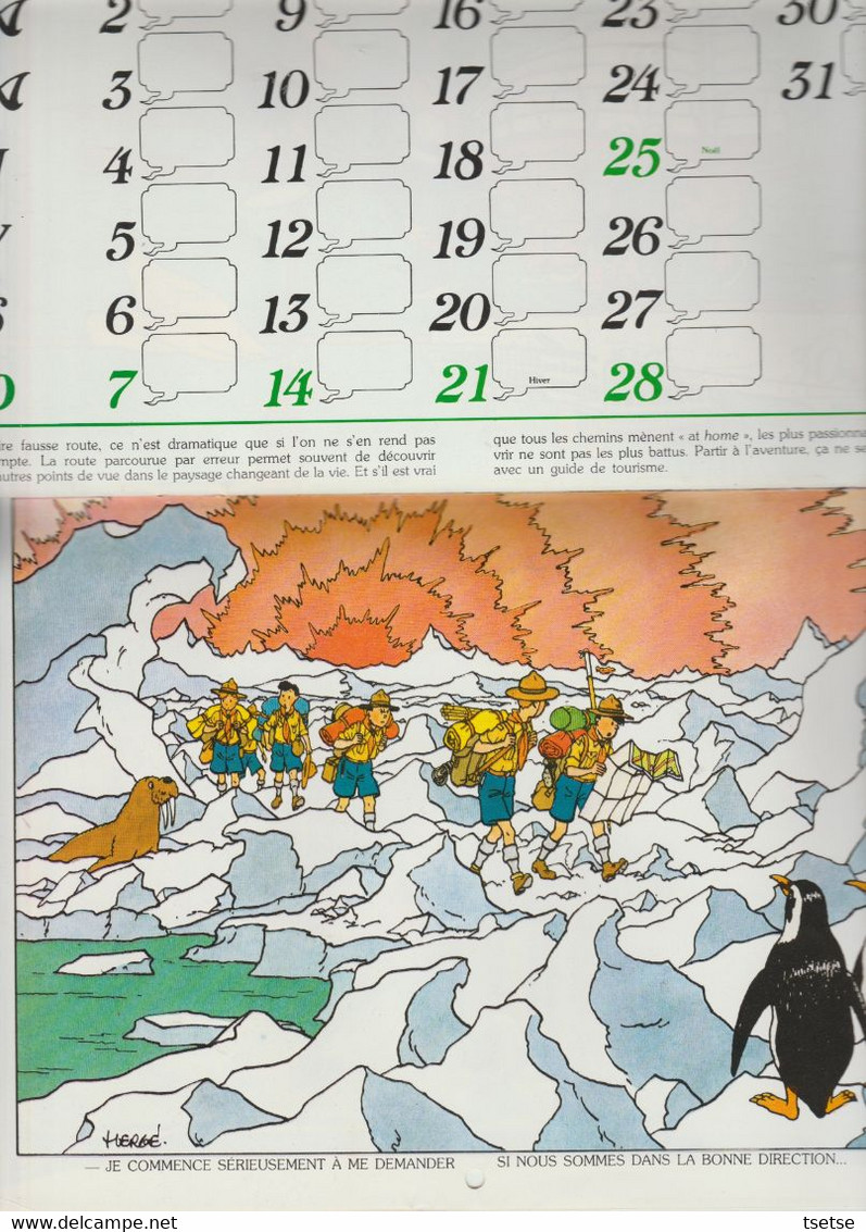 Tintin - Calendrier scout FSC, année 1980, reprenant 12 illustrations de Hergé / Casteman-Tournai 1979